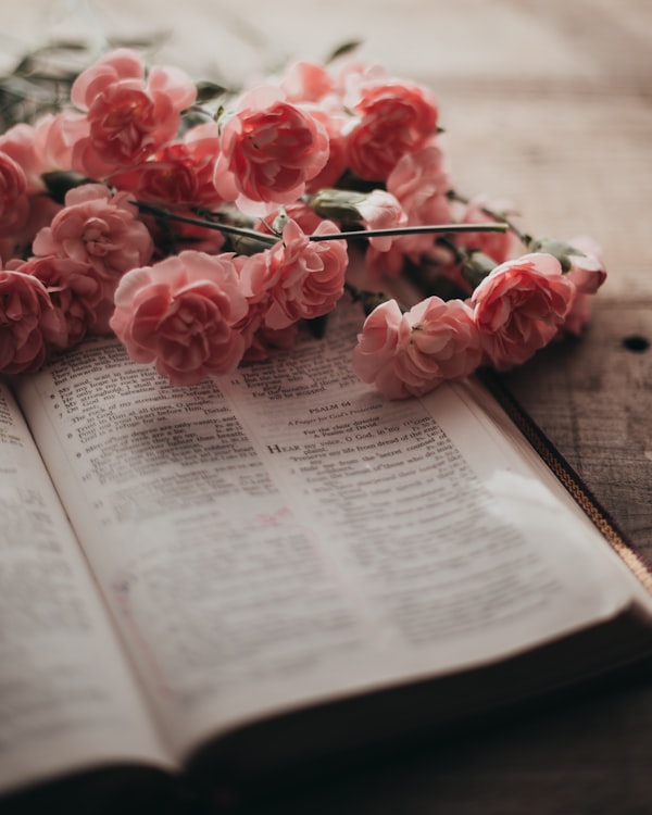 Scriptures / Faith